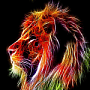 Darvin