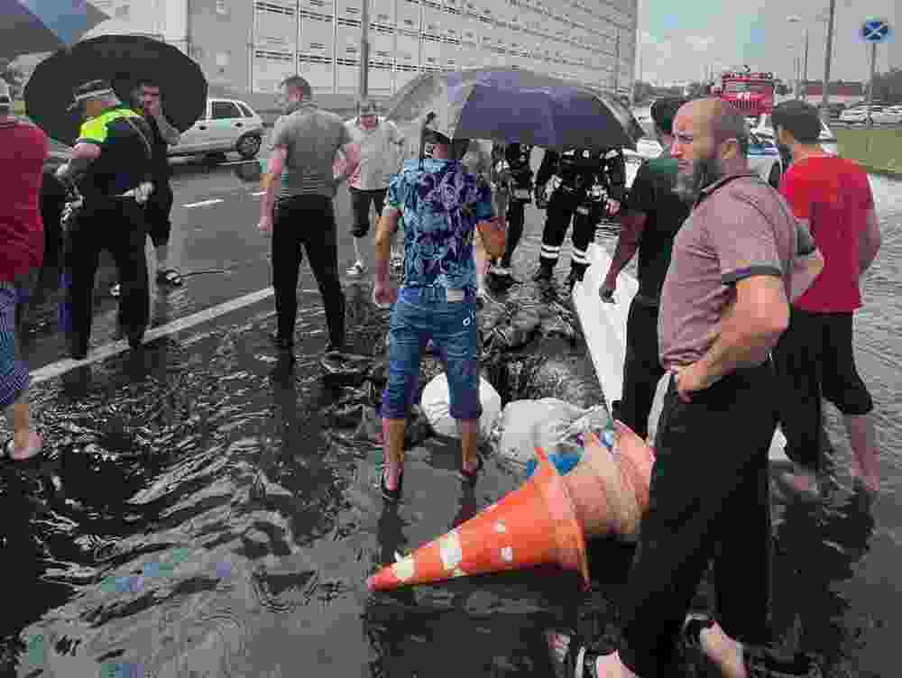 Pp50mgZTIOx4z229XuBI.jpg
